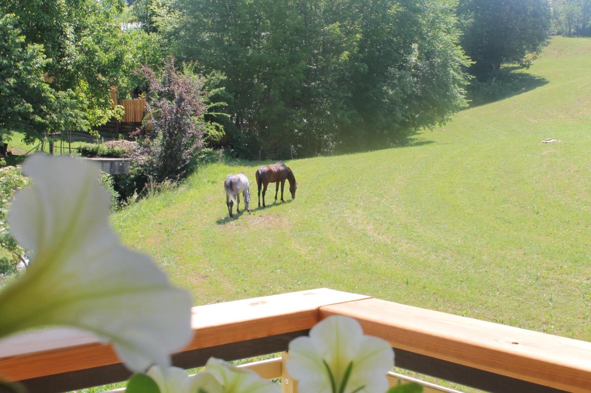 Villa House Gabrijel With Four Seasons Outdoor Kitchen Bled Exterior foto
